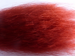 Pike Hair Rust